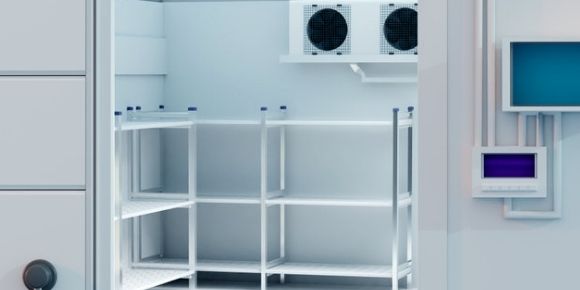 How to Stop Mold Growth in your Walk-in Freezer - Kitchen Services